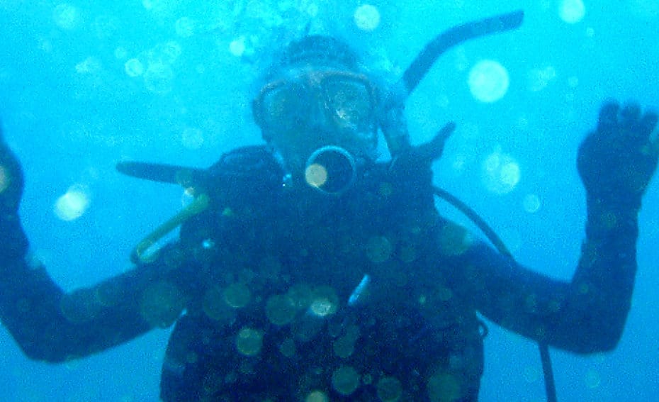 Crayfish and conflict